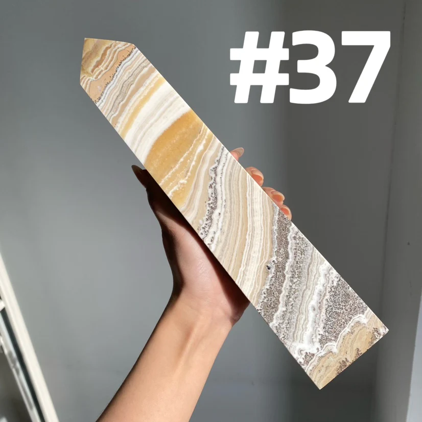 Thumbnail 10