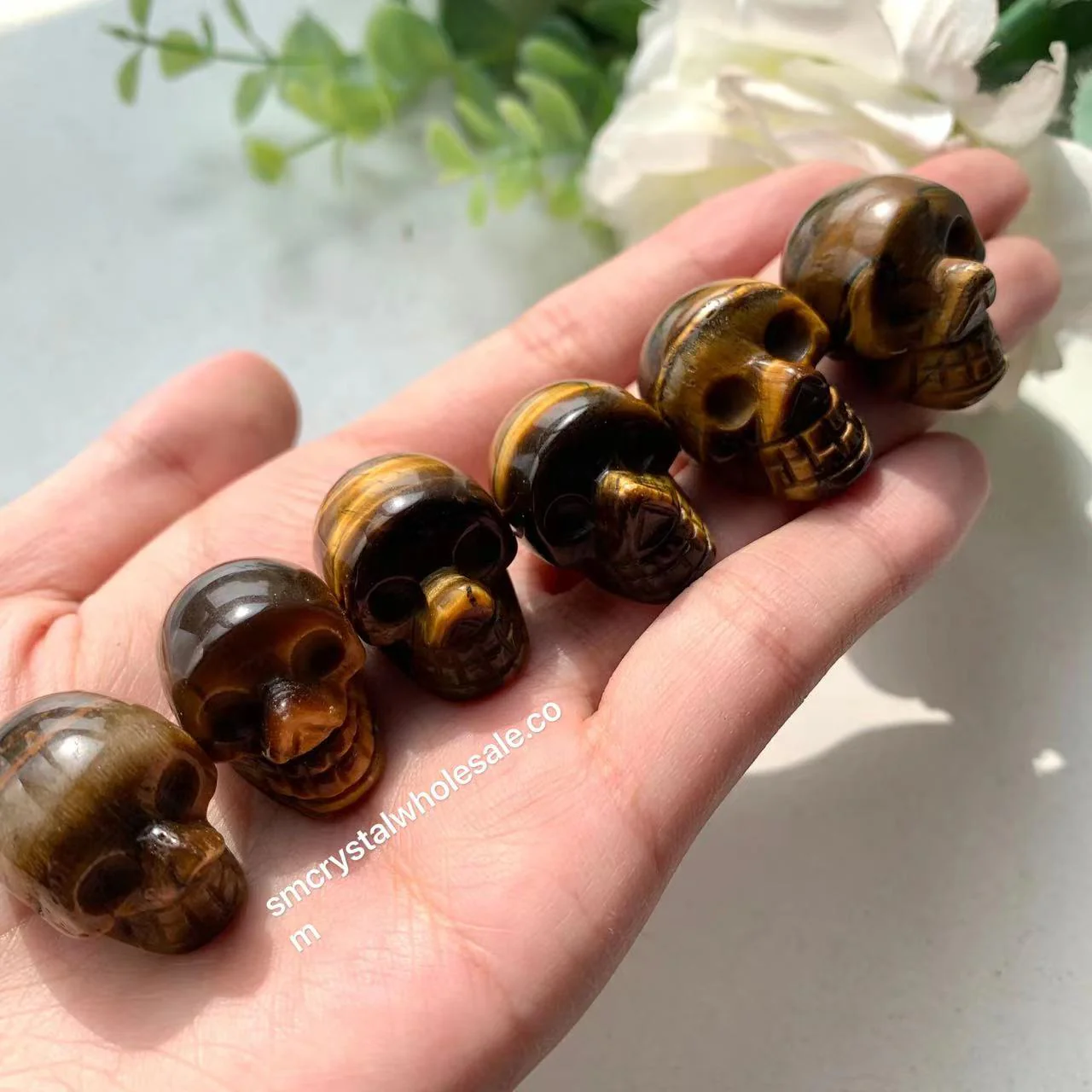 Thumbnail 7