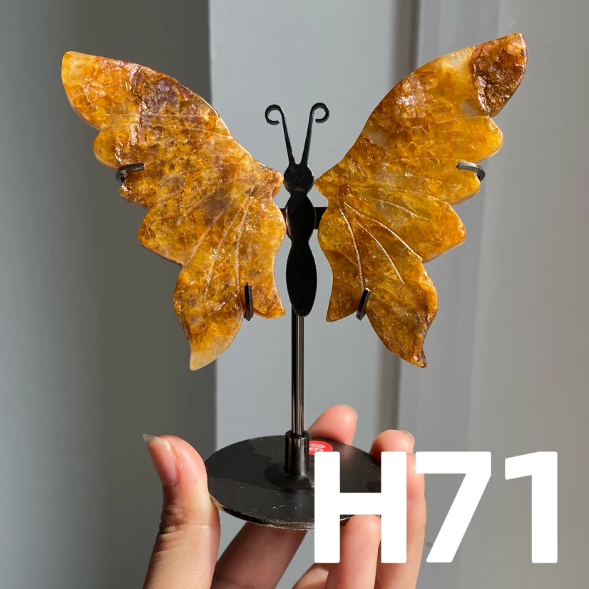 Thumbnail 12